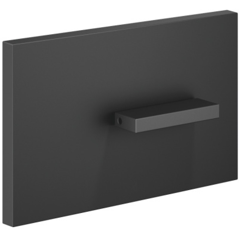 Dornbracht - MEM Cover Plate For The Concealed WC Cistern Made By Tece